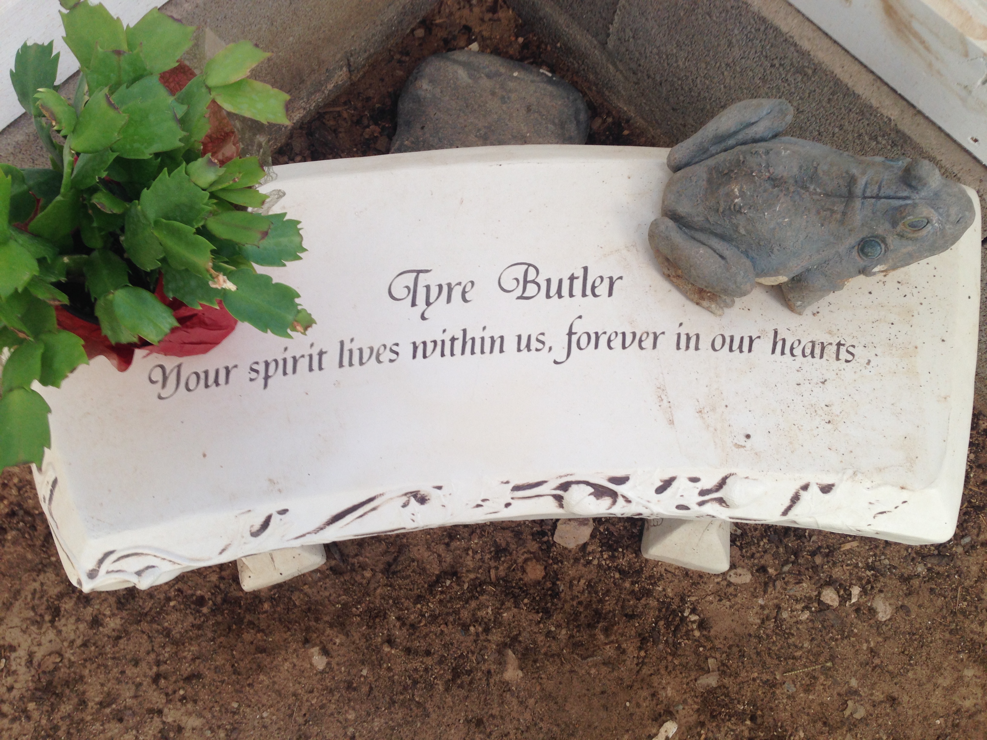 KTAR News Visits Tyre Butler Memorial Greenhouse
